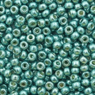 Miyuki Rocailles 8/0 Duracoat galvanized sea foam green 8-4217
