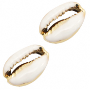Muschel Perlen Specials Kauri Half white-gold