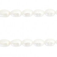 BQ S&uuml;sswasserperlen Rice 7x6mm Natural white