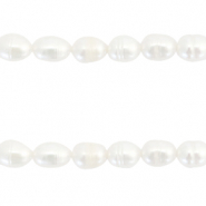 BQ S&uuml;sswasserperlen Rice 7x5mm Natural white
