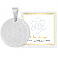 Mix & Match Anh&auml;nger aus Stainless Steel - Rostfreiem Stahl 15mm Birth flower December-Narcissus Silber
