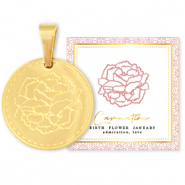 Mix & Match Anh&auml;nger aus Stainless Steel - Rostfreiem Stahl 15mm Birth flower January-Carnation Gold