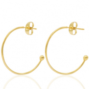 Ohrringe aus Stainless Steel - Rostfreiem Stahl Ohrstecker Creolen Gold