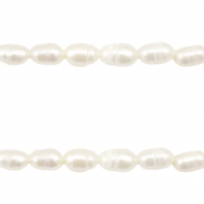 BQ S&uuml;sswasserperlen Rice 7x5mm Natural white