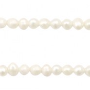 S&uuml;sswasserperlen rund 3mm Natural white