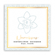 Schmuck Karten Geburtsblume Dezember-Narzisse Greenish grey
