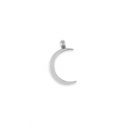 Stainless Steel - Rostfrei Stahl Anh&auml;nger La Luna Mond Silver