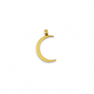 Stainless Steel - Rostfrei Stahl Anh&auml;nger La Luna Mond Gold