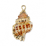Muschel Anh&auml;nger Specials Brown-gold
