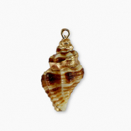 Muschel Anh&auml;nger Specials Brown-gold