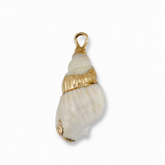 Muschel Anh&auml;nger Specials Creamy white-gold