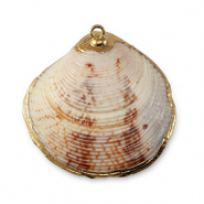 Muschel Anh&auml;nger Specials Jakobsmuschel Mixed brown-gold