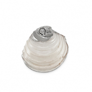Muschel Anh&auml;nger Specials Creamy white-silver