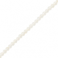 Muschel Perlen Rund White