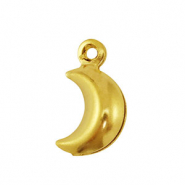 Stainless Steel - Rostfrei Stahl Anh&auml;nger Mond Gold
