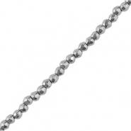 H&auml;matit Perlen Rund 2mm Facett geschliffen Silver