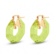 Trendy Resin Ohrringe Hexagon Gold-transparent green