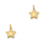 Metall Anh&auml;nger DQ Stern Gold (Nickelfrei)