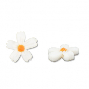 Muschel-Perlen Blume White (Naturliche Farbe Muschel)-orange