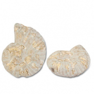 DQ Griechische Keramik Perlen Muschel White-light brown-gold