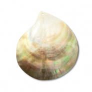 Muschel Anh&auml;nger Perlmutt-Muschel White (Naturliche Farbe Muschel)-light brown-dark brown