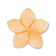 Muschel Anh&auml;nger Blume Orange
