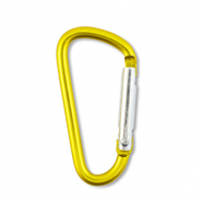 Farbiges Zubeh&ouml;r Schl&uuml;ssel Anh&auml;nger Shiny golden yellow