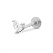 Ohrpiercing aus Stainless Steel - Rostfreiem Stahl Blatt Silver