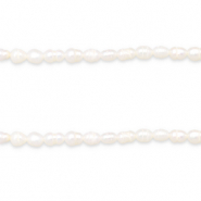 BQ S&uuml;sswasserperlen Rice 6x4mm Natural white