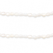 BQ S&uuml;sswasserperlen Rice 5x4mm Natural white