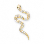 Broschen Schlange Gold-transparent-black