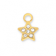 Stainless Steel - Rostfrei Stahl Anh&auml;nger Stern mit Strass Gold-transparent