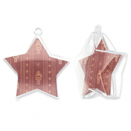 Transparenter Schmuck Stern Transparent-port red-beige