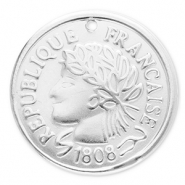 Stainless Steel - Rostfrei Stahl Anh&auml;nger M&uuml;nze Silver