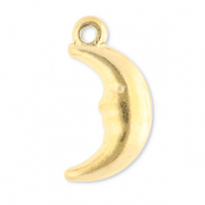 Stainless Steel - Rostfrei Stahl Anh&auml;nger Mond Gold