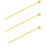 BY31&reg; Stainless Steel - Rostfrei Stahl Schmuckzubeh&ouml;r Nietstifte mit Kugel 35 mm Gold