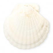 Muschel Anh&auml;nger Specials Jakobsmuschel White