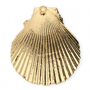 Muschel Anh&auml;nger Specials Jakobsmuschel Gold