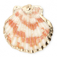 Muschel Anh&auml;nger Specials Jakobsmuschel Dark pink-gold