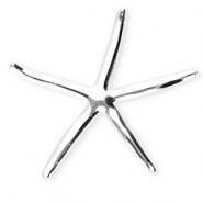 Stainless Steel - Rostfrei Stahl Statement Broschen Seestern Silver