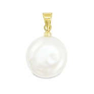 Muschel-Perlen Muschel pearl shine