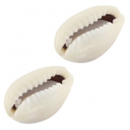 Muschel Kauri Ivory-grey