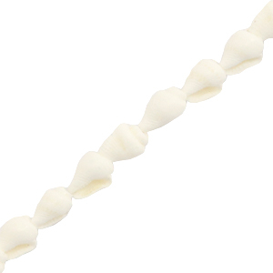 Muschel Perlen Wellhornschnecke White