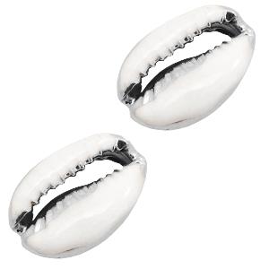 Muschel Perlen Specials Kauri Half white-silver