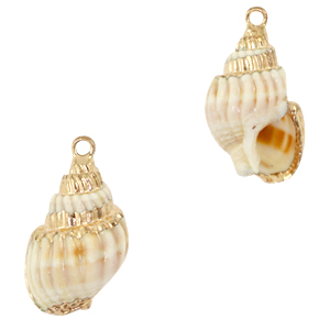 Muschel Anh&auml;nger Specials Wellhornschnecke Creamy white-gold
