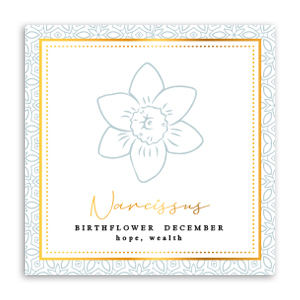 Schmuck Karten Geburtsblume Dezember-Narzisse Greenish grey