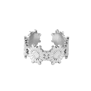 Ringe aus Stainless Steel - Rostfreiem Stahl Silber