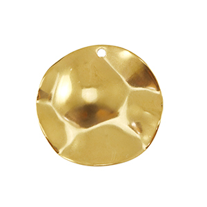 Stainless Steel - Rostfrei Stahl Anh&auml;nger 22mm Gold