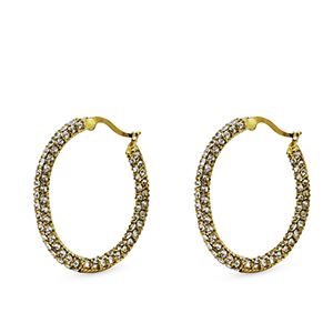 Ohrringe aus Stainless Steel - Rostfreiem Stahl Zirkonia Creolen Gold