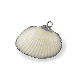 Muschel Anh&auml;nger Specials Jakobsmuschel White-silver